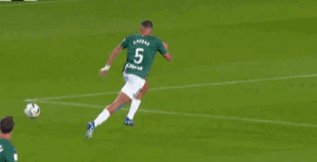 1699808853332084581.gif QQ图片20231113010533.gif